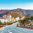 동강사우나 이미지