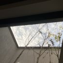 스테이반시 이미지