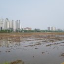 사방부동산중개 이미지