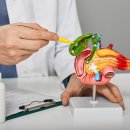 수성속내과의원 이미지