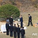 흙과소나무 이미지