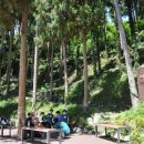 중앙동229 이미지