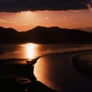 순천시청(별관) 이미지