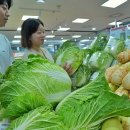 롯데마트 이미지