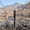 진영4호 이미지