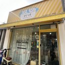 봄동살롱 | 성북구고양이미용실 목욕까지, 무마취로 교감하는 고양이호텔 봄동살롱!