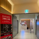 아바니핏 네이버블로그