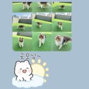 개러리아 이미지