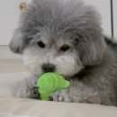 보듬보듬 이미지