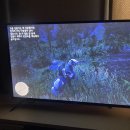 게임폭스 | 법 글리치(버그) / 미주리 폭스 트로터 / 다크 베이...확인 / 레드윙 아이언레인저 8111 후기 사이즈팁