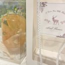 서초대로 114-12 이미지