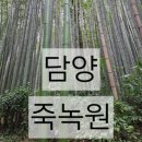 축령산금빛휴양타운 | 담양 당일치기 여행, 죽녹원, 대나무숲, 담양전통숯불갈비, 축령산 편백나무숲, 금빛휴양타운