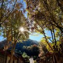 보현여관 | [다니에르 여행] 단양여행 온달관광지 구인사 단양일주일살기 후기