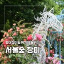 꼼지락정원 | 서울숲 서울국제정원박람회 장미원 갔다가 못 지나친 정원사업전 후기
