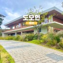 두룩 | 부산 드라마 촬영지 도모헌 그리고 모모스 및 들락날락 방문기!
