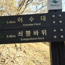 정순이네백반 | 변산바람꽃을 보러 내변산