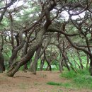 오회공종택 이미지