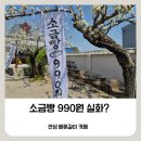 이마트24 배꽃마을점 | 배꽃카페 990원 소금빵으로 난리 난 배꽃길 61 오픈런 후기