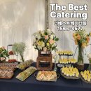 화성 | 화성 케이터링 후기 많은 업체 맞춤형 출장뷔페로 만족도 100%