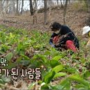 지리산이야기 영농조합법인 네이버블로그
