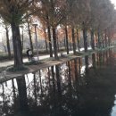 연못 속 풍경 이미지