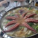 문어시대 이미지