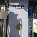 고흥바다하우스 | 전남 고흥 녹동 ‘유자샌드 by 유자하우스’ 방문 후기