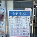 금오도 비렁길 | 여수 금오도 배편 예약부터 자동차 탑승까지｜차 싣고 들어간 금오도 비렁길 드라이브 후기