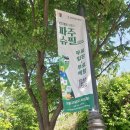 다~놀자 | 2024 다놀자 파주페스타 냉정솔직후기