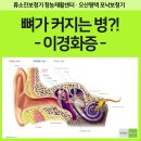 포낙보청기평택센터 이미지