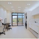 아지묭실 이미지