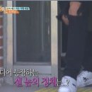 프레미아타 | [오늘의핫딜0904] 프리미아타 8만9천원-현대백화점 무역센터 4층