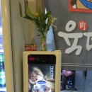 육땡