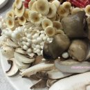 장수버섯마을 이미지