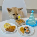 강아지생일상 추천 까까묵자 강아지케이크 솔직후기