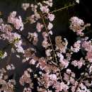 진해벚꽃공인중개사사무소 이미지