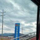 문경 씨름장 이미지