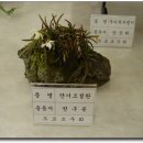 창녕초등학교 이미지