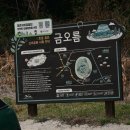 신창농장 | [제주도 여행 #5] 겨울 제주 3박 4일 여행 코스, 3일차,4일차 제주 서쪽 여행지 추천