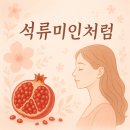 석류미인처럼