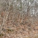 계리마을회관 이미지