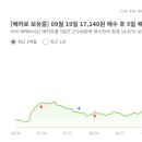 삼호태양광발전소 이미지