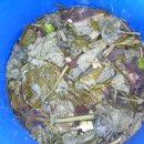 천지인농장 이미지