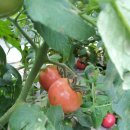 영민농장 이미지