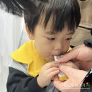 범이시켜 이미지