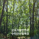 79 | 군포 가볼만한 곳 수리산산림욕장 가는 법