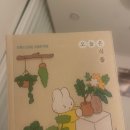 시민로+어의정로 | 25년 1월 새해일상