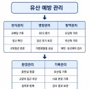 소격리농장 | 염소에서 유산의 원인과 대응 방안