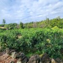 서광신화공인중개사사무소 이미지