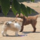 씨유 수지동천점 | [5月] • 📂 여름_일상모음(1).zip